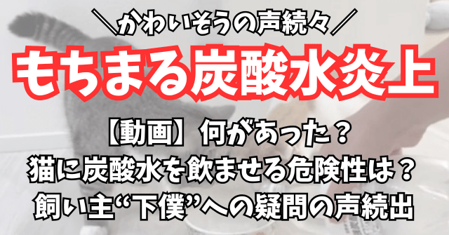 【動画】もちまる日記の炭酸水炎上は何があった？猫に炭酸水を飲ませる危険性は？